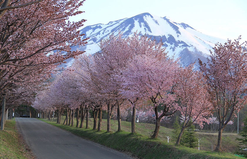 青森県のスライダー画像 4