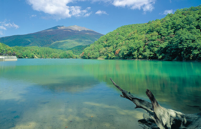 宮城県のスライダー画像 1