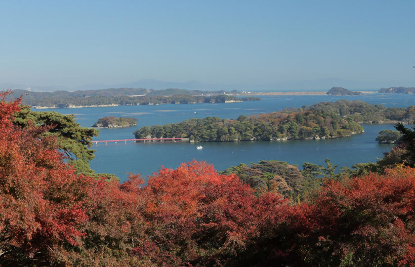 宮城県のスライダー画像 5