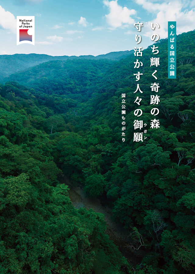 やんばる国立公園パンフレット 表紙