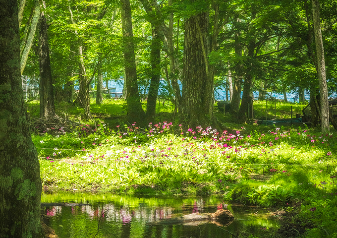 関東エリア | 国立公園フォトスポット | 国立公園に、行ってみよう