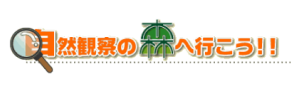 自然観察の森へ行こう！