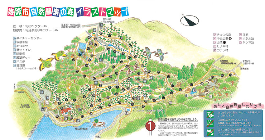 園内MAP