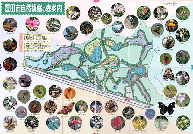 園内MAP