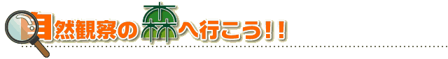 自然観察の森へ行こう！！