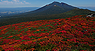 樽前山の様子