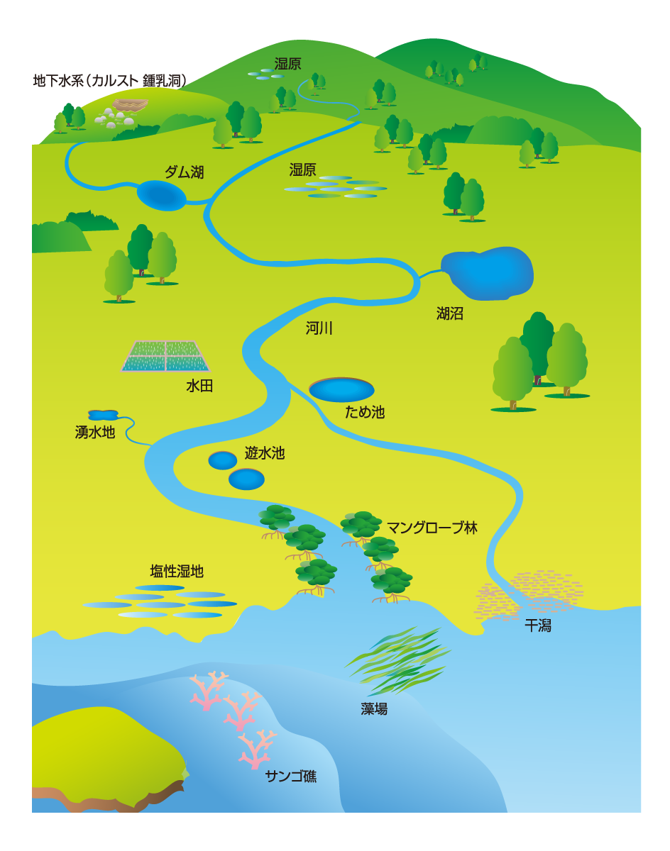 環境省 ラムサール条約と条約湿地 ラムサール条約湿地とは