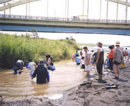 鵡川河口干潟の様子画像