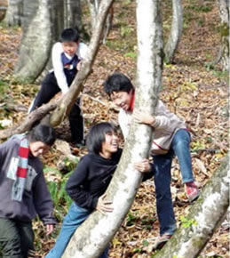 写真1