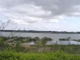 蕪栗沼と隣接する白鳥地区の現状写真2
