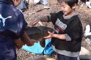 大きなコイが捕れ、子どもたちも手に取って大喜び。