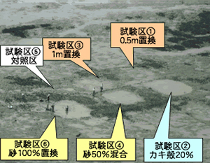 実証試験の状況