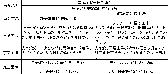 拡大実証試験の概要