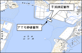 干潟耕耘・アマモ移植配置図（湾内地図）