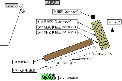 干潟耕耘・アマモ移植配置詳細図