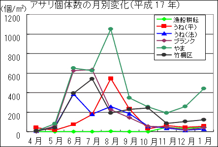 アサリ個体数の月別変化（平成17年）