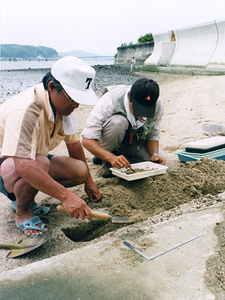 平生湾での調査