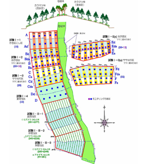 試験区の配置