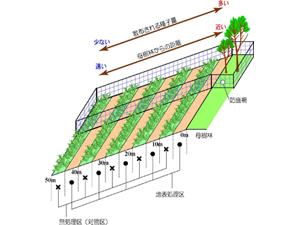 試験Iの模式図