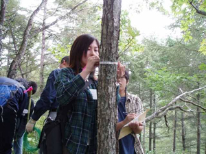 湿原で、木の胸高直径を測る