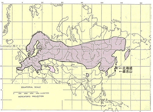 クマゲラの世界の分布図