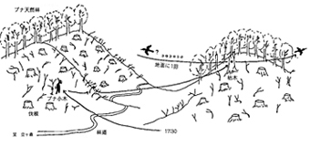 クマゲラ行動図（小笠原・泉、1977）