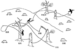 クマゲラ行動図（小笠原・泉、1977）