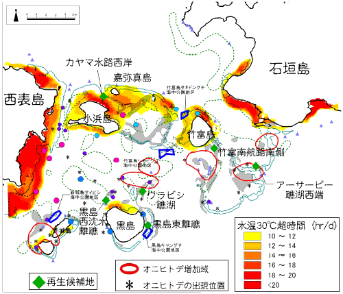 サンゴ礁再生候補地