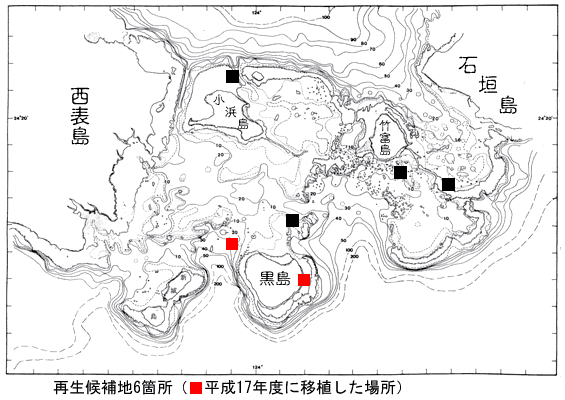 再生候補地（移植場所）