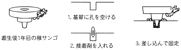 着装具の移植法