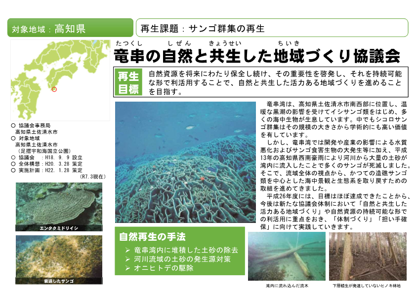 竜串自然再生協議会PDF