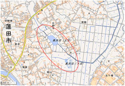 黒浜沼と周辺湿地・ヨシ原 位置図