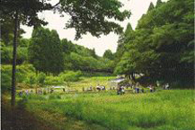 写真1