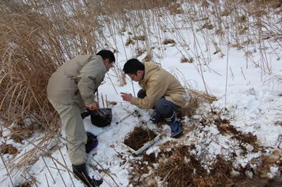 たも網ですくって、水生生物を探します