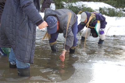 今後の継続調査で重複カウントを避けるためカヤを差します