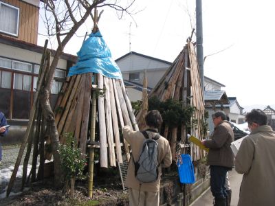 屋外調査風景