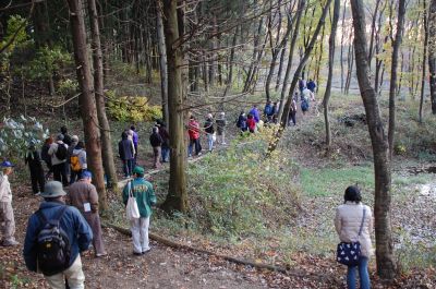 新里自然体験村・水辺の周辺を保全