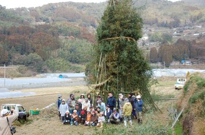 棚田にできた竹のやぐら