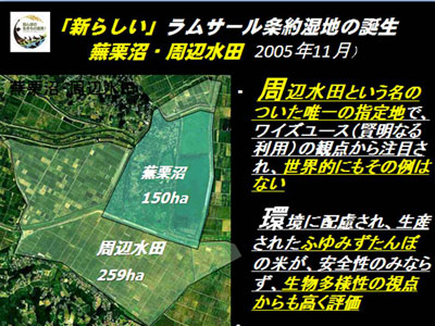 「新らしい」ラムサール条約湿地の誕生 蕪栗沼・周辺水田 2005年11月