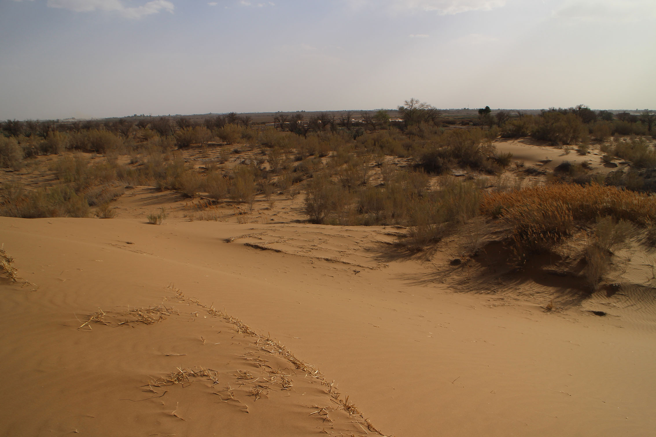 周辺の砂漠から村に砂が押し寄せる