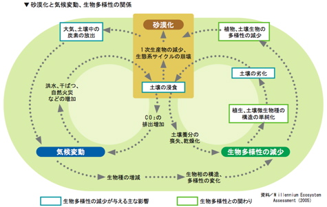 環境省 自然環境局 砂漠化対策 砂漠化する地球