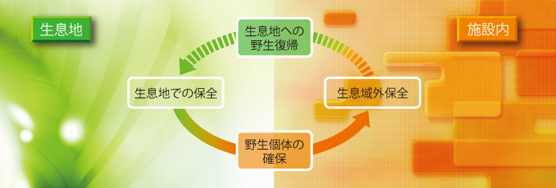 生息地での保全と生息域外保全の関係図