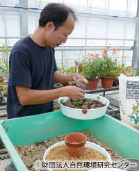 植物の栽培技術者