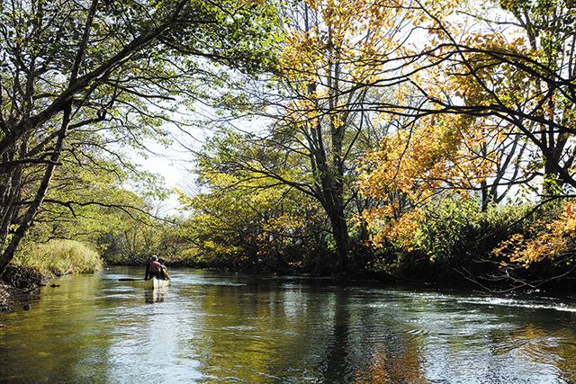 photo of Canoes Tours