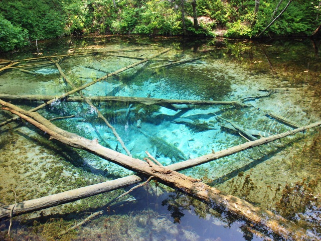 photo of Kaminoko Pond