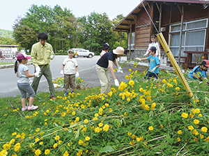 photo of Green Worker Program