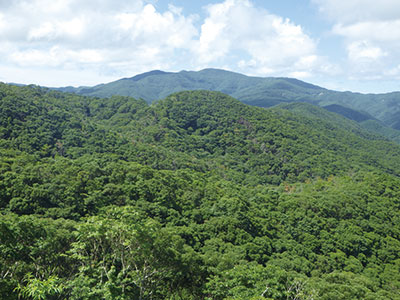 photo of Mt. Yuwan