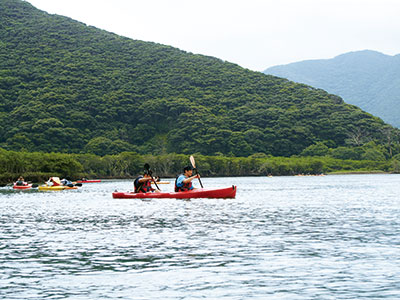 photo of Sumiyo Mangrove Forest