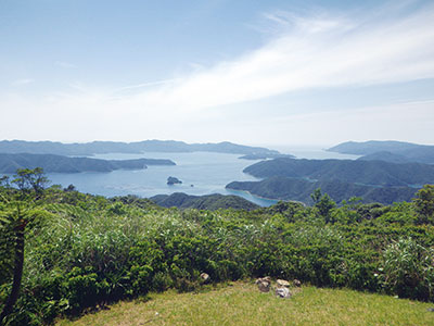 大島海峡の写真