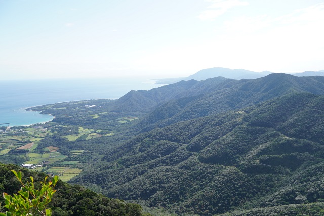 タイトル　天城岳山頂からの眺望